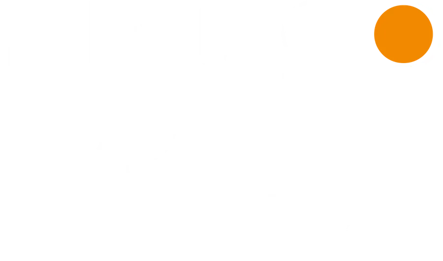 Professor Rui